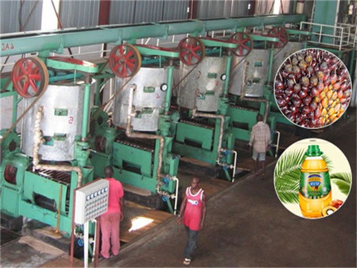 Usine de moulin à huile de palme de 10 Tpj au Mali, offre spéciale