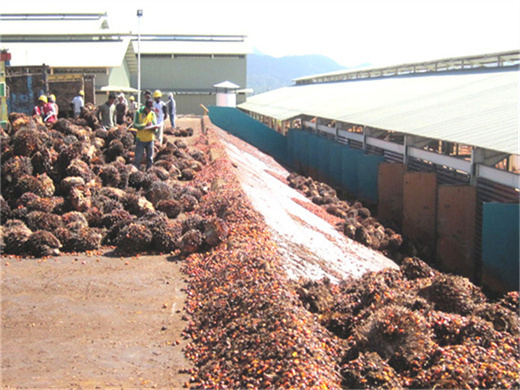 Machine d’extraction d’huile de palme la plus vendue au Maroc