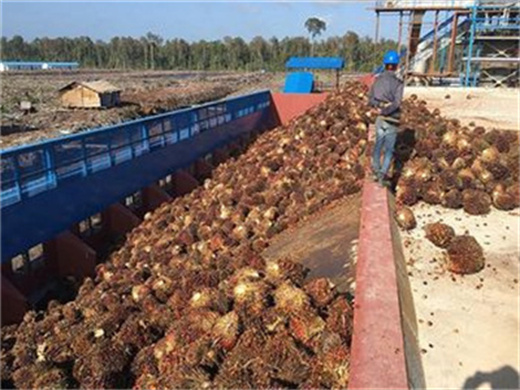 Petite presse à froid pour huile de palme et noix au Tchad