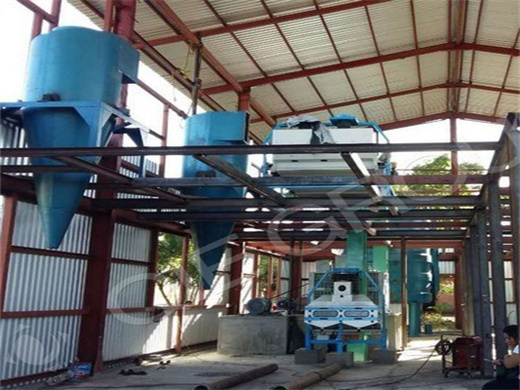 Usine de fabrication d’huile de palme Machine de raffinerie d’huile de palme à Abidjan